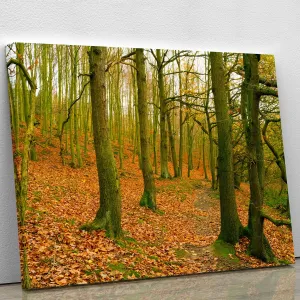 A path through the woods at Haw park Canvas Print or Poster