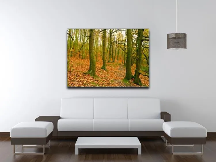 A path through the woods at Haw park Canvas Print or Poster