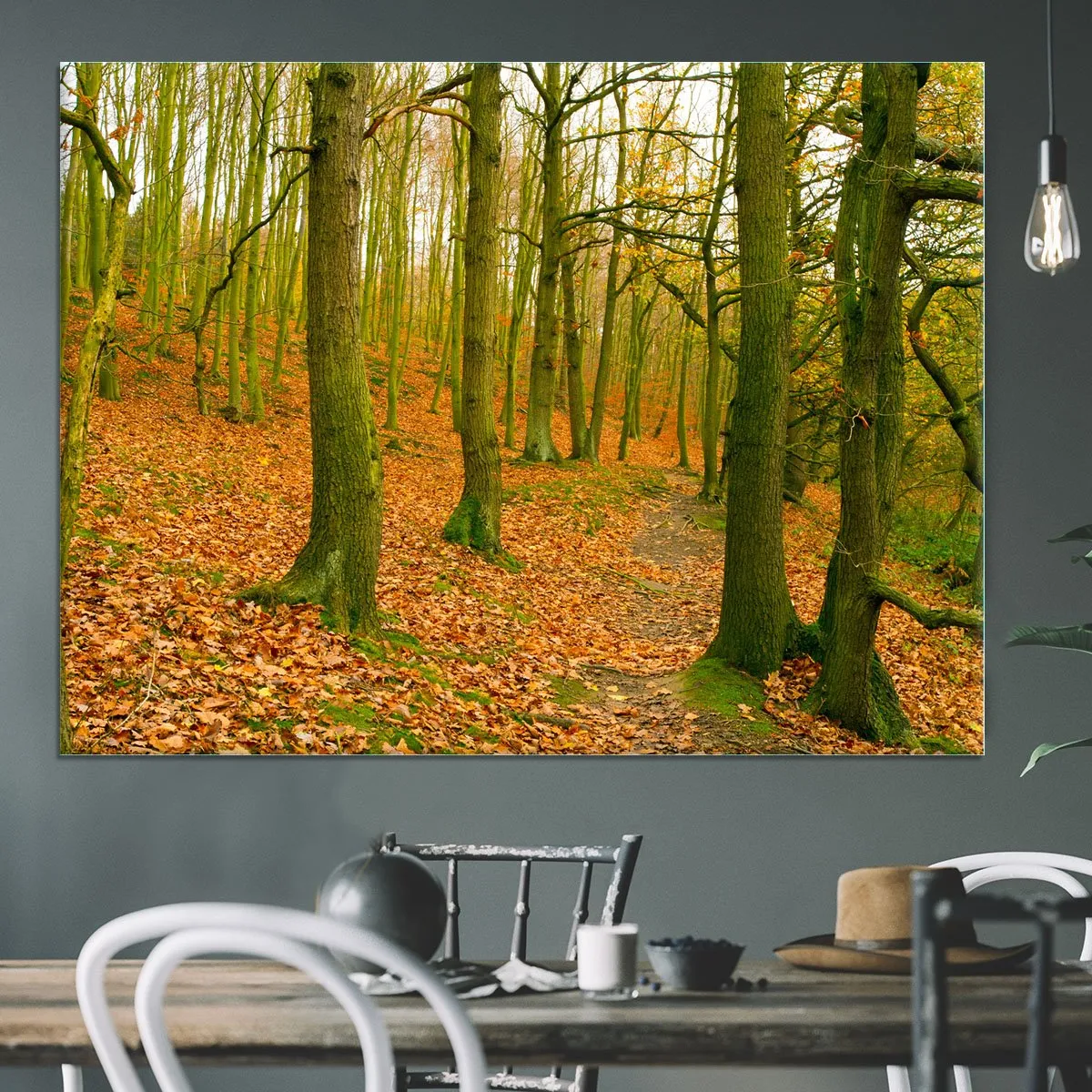 A path through the woods at Haw park Canvas Print or Poster