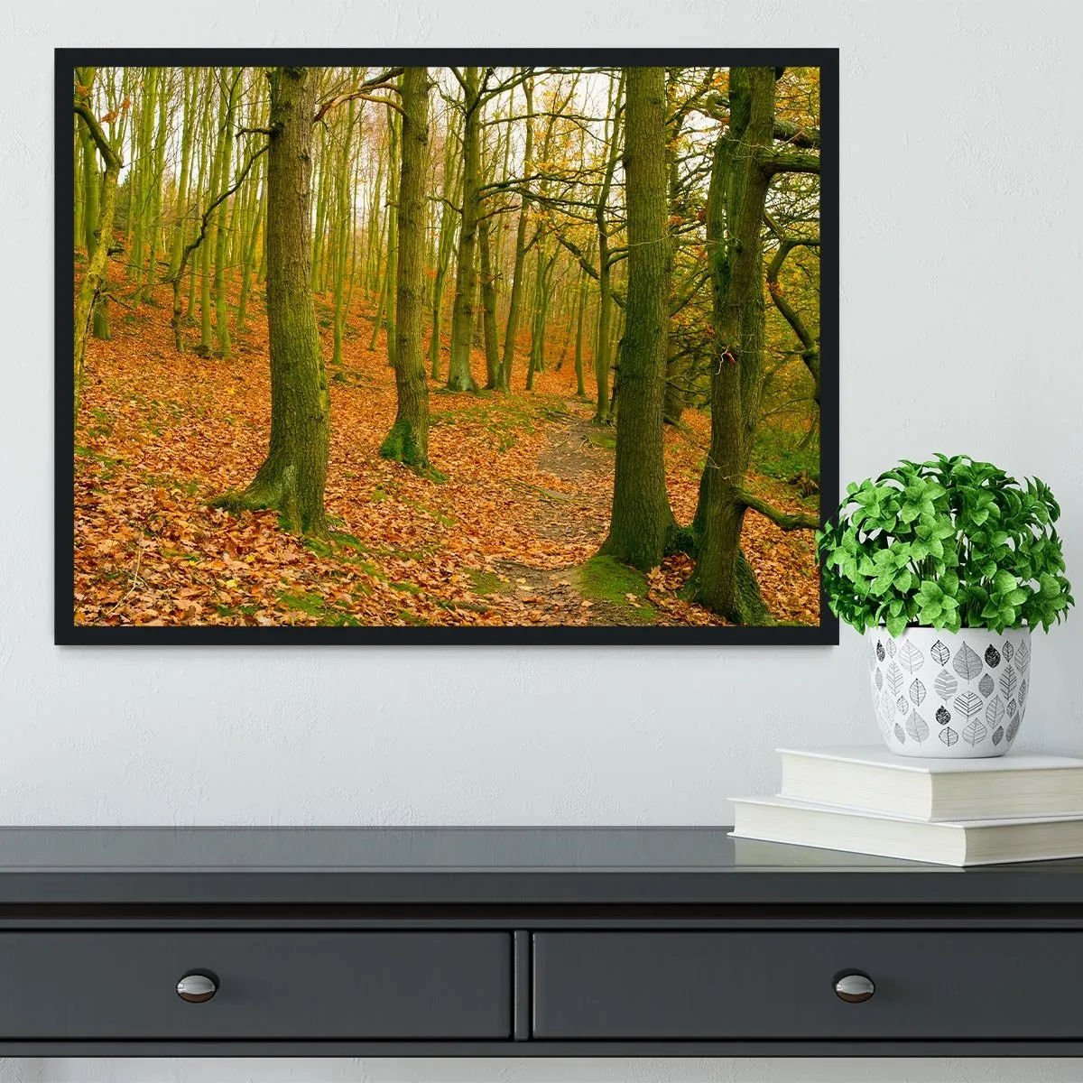 A path through the woods at Haw park Framed Print