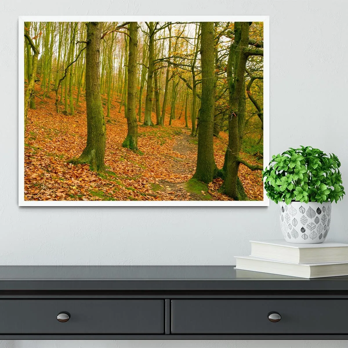 A path through the woods at Haw park Framed Print