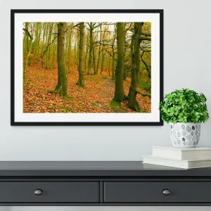 A path through the woods at Haw park Framed Print