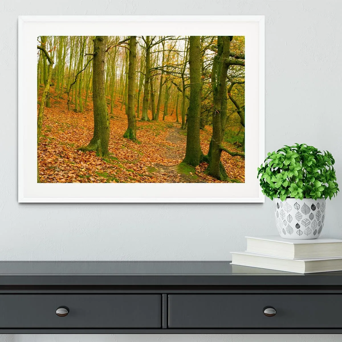 A path through the woods at Haw park Framed Print