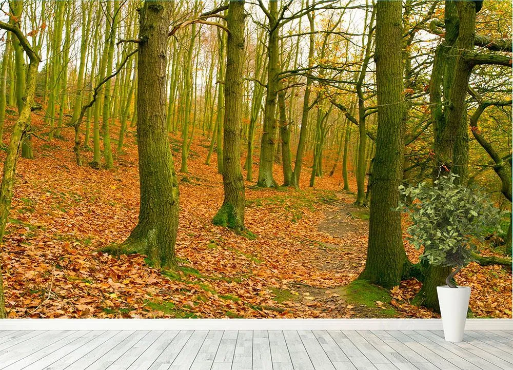 A path through the woods at Haw park Wall Mural Wallpaper