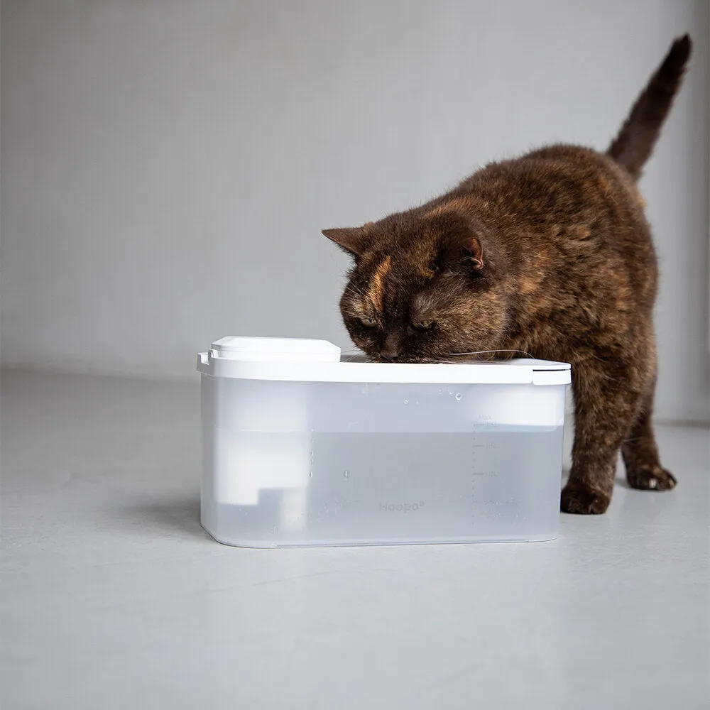 Hoopo® Hydr Cat Water Drinking Fountain | Cordless & Ultra Clean | White