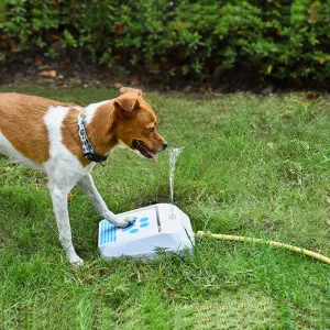 Outdoor Pet Supplies Step on Press Self Dog Water Feeder Drinking Fountain