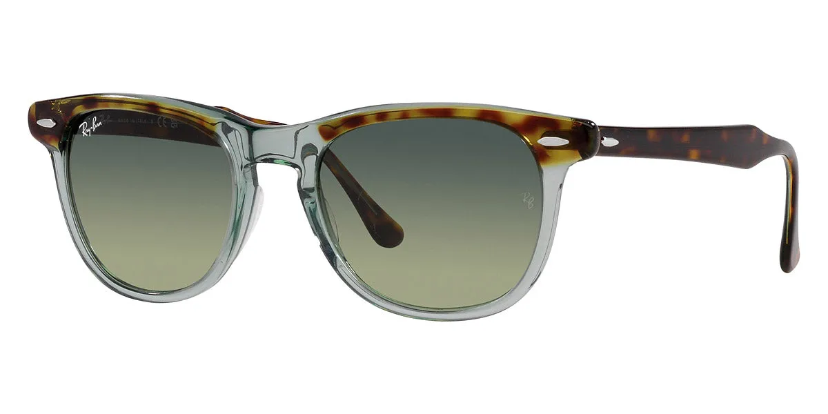 Ray-Ban® EagleEye RB2398