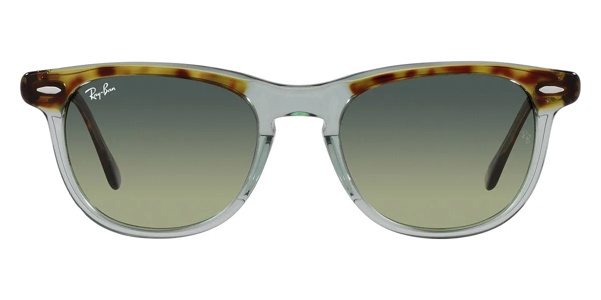 Ray-Ban® EagleEye RB2398