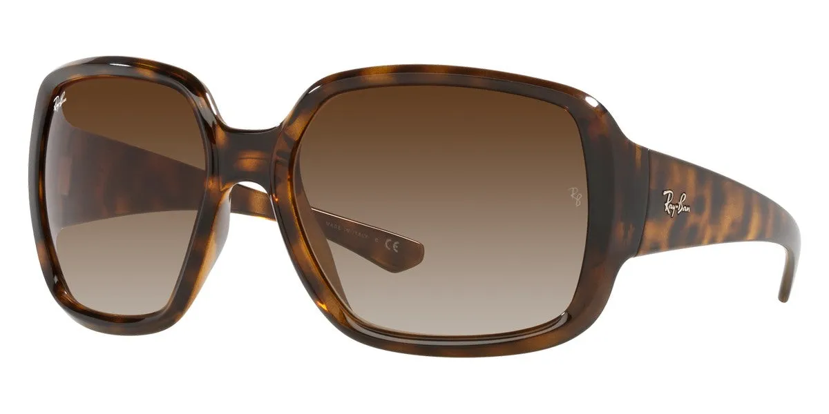 Ray-Ban® Powderhorn RB4347