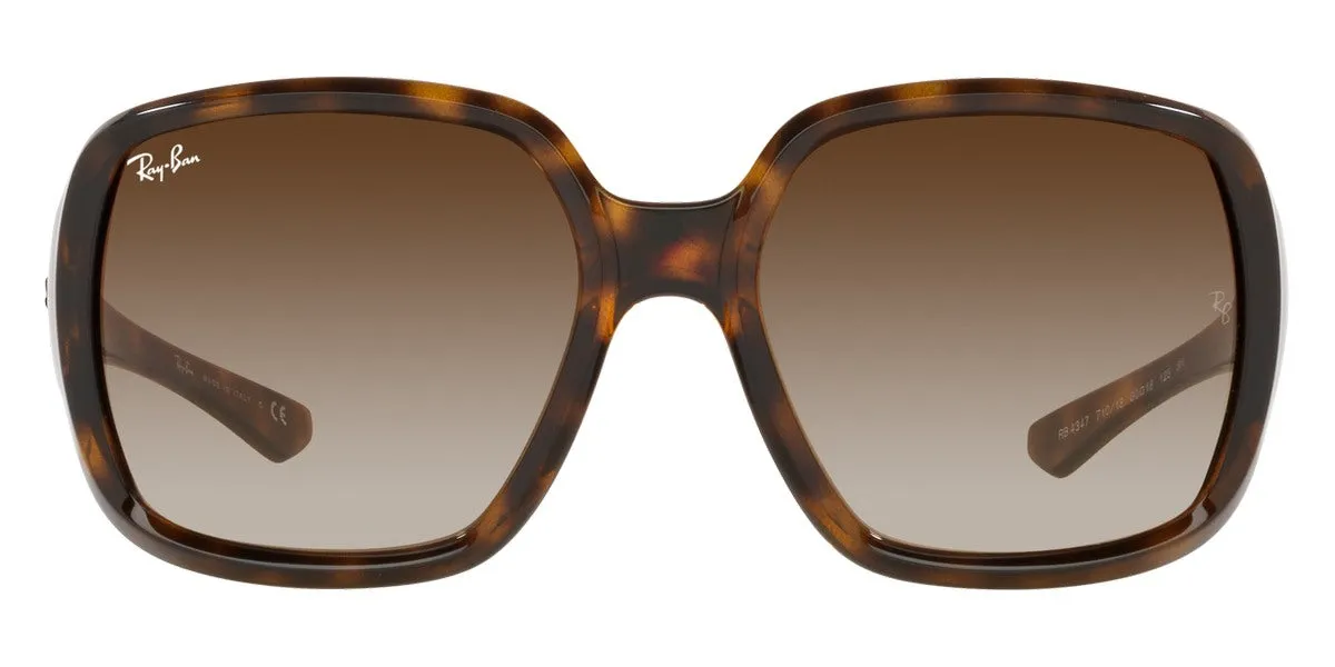 Ray-Ban® Powderhorn RB4347