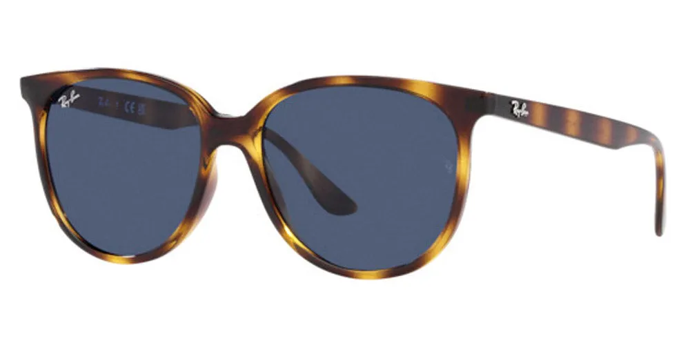 Ray-Ban® RB4378