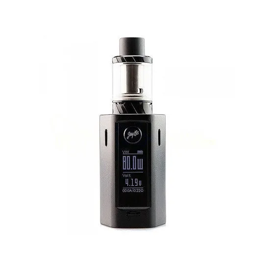 Wismec Reuleaux RX Mini 80W TC Kit by Jay Bo Designs